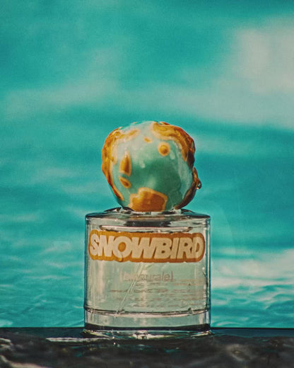 Snowbird